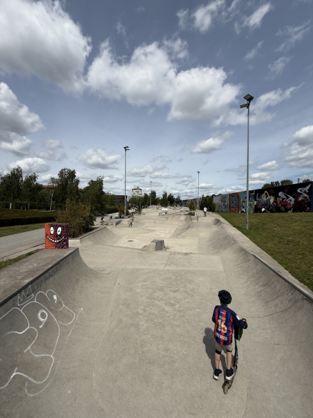 Skatepark im Wihlemsburger Inselpark